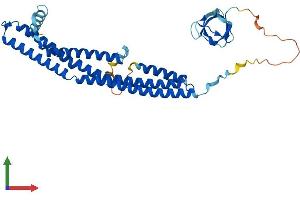 AlphaFold protein structure predicition of Mouse Recombinant Sh3gl2 Protein, UniprotID Q62420 (SH3G2 Protein (AA 1-352) (His tag))