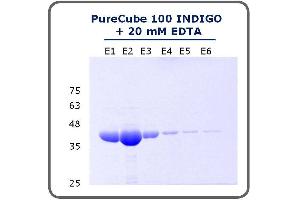 Fig. (INDIGO Ni-Agarose)