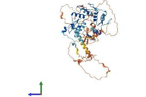 AlphaFold protein structure predicition of Human Recombinant ZNF554 Protein, UniprotID Q86TJ5