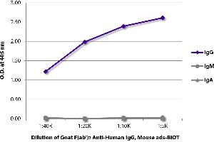 ELISA plate was coated with purified human IgG, IgM, and IgA. (Goat anti-Human IgG Antibody (Biotin) - Preadsorbed)