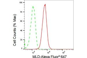 Flow cytometric analysis of MLD expression in HepG2 cells using MLD antibody (ABIN7799509), 1:2,000).