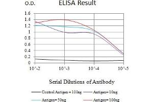 Black line: Control Antigen (100 ng),Purple line: Antigen (10 ng), Blue line: Antigen (50 ng), Red line:Antigen (100 ng) (ATG4B antibody  (AA 1-221))
