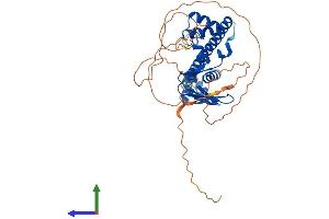 Protein Structure (PS) image for Transcription Factor Dp Family, Member 3 (TFDP3) (AA 1-405) protein (His tag) (ABIN7544249)