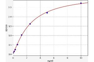 UGT1A6 ELISA Kit