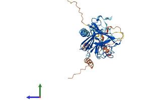 AlphaFold protein structure predicition of Human Recombinant RFPL2 Protein, UniprotID O75678 (RFPL2 Protein (AA 1-378) (His tag))