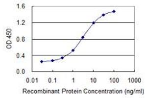 Detection limit for recombinant GST tagged CHFR is 0. (CHFR antibody  (AA 136-194))