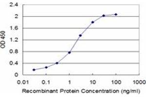 Detection limit for recombinant GST tagged FAS is approximately 0. (FAS antibody  (AA 20-119))