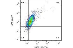 Multicolor flow cytometry with GPR132 and GPR68Human  monocytic leukemia cell line was labeled by adding Anti-Human GPR132/G2A (extracellular)-FITC Antibody (ABIN7237643, ABIN7316594, ABIN7316595, ABIN7316596 and ABIN7316597), (5 μg) and Anti-GPR68 (OGR1) (extracellular)-APC Antibody (ABIN7582036), (5 μg).