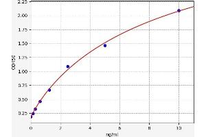 Typical standard curve (ABCA7 ELISA Kit)