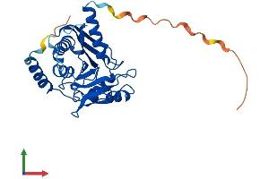 AlphaFold protein structure predicition of Human Recombinant ENDOV Protein, UniprotID Q8N8Q3 (Endonuclease V Protein (ENDOV) (AA 1-282) (His tag))