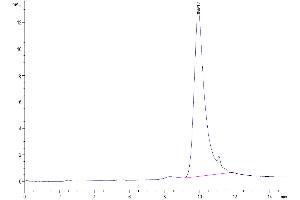 Size-exclusion chromatography-High Pressure Liquid Chromatography (SEC-HPLC) image for Thymic Stromal Lymphopoietin (TSLP) (AA 29-159) protein (His tag) (ABIN7275799)