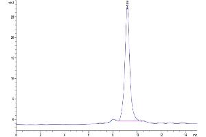 The purity of Human Complement component 3 is greater than 95 % as determined by SEC-HPLC. (C3 Protein (AA 23-1663) (His tag))