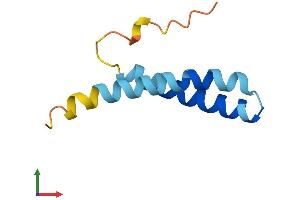 Protein Structure (PS) image for Synovial Sarcoma Translocation Gene On Chromosome 18-Like 2 (SS18L2) (AA 1-77) protein (Fc Tag) (ABIN7560871)