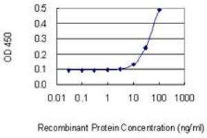 Detection limit for recombinant GST tagged KRT6B is 3 ng/ml as a capture antibody. (Keratin 6B antibody  (AA 1-564))