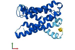 Protein Structure (PS) image for KDEL (Lys-Asp-Glu-Leu) Endoplasmic Reticulum Protein Retention Receptor 1 (KDELR1) (AA 1-212) protein (His tag) (ABIN7547393)