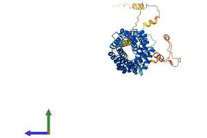 AlphaFold protein structure predicition of Mouse Recombinant Ttc23 Protein, UniprotID Q8CHY7 (TTC23 Protein (AA 1-488) (His tag))