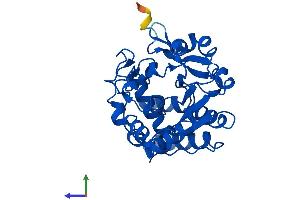 AlphaFold protein structure predicition of Mouse Recombinant Sult1d1 Protein, UniprotID Q3UZZ6
