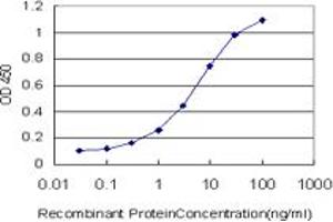 Detection limit for recombinant GST tagged HEPH is approximately 0. (Hephaestin antibody  (AA 315-424))