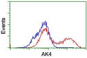 HEK293T cells transfected with either RC220572 overexpress plasmid (Red) or empty vector control plasmid (Blue) were immunostained by anti-AK4 antibody (ABIN2454868), and then analyzed by flow cytometry. (AK4 antibody)