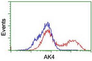 HEK293T cells transfected with either RC220572 overexpress plasmid (Red) or empty vector control plasmid (Blue) were immunostained by anti-AK4 antibody (ABIN2454868), and then analyzed by flow cytometry.