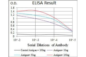 Red: Control Antigen (100ng) ; Purple: Antigen (10ng) ; Green: Antigen (50ng) ; Blue: Antigen (100ng). (BPIFA2 antibody)