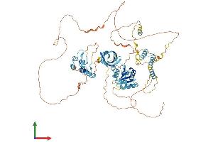 AlphaFold protein structure predicition of Mouse Recombinant Bank1 Protein, UniprotID Q80VH0 (BANK1 Protein (AA 1-783) (His tag))