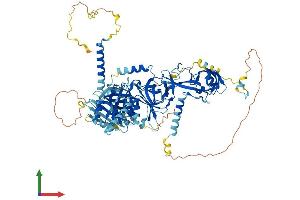 AlphaFold protein structure predicition of Human Recombinant TSR1 Protein, UniprotID Q2NL82