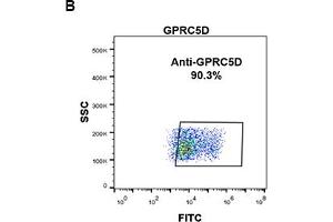 Flow Cytometry (FACS) image for anti-G Protein-Coupled Receptor, Family C, Group 5, Member D (GPRC5D) (AA 1-27) antibody (ABIN7092890) (GPRC5D antibody  (AA 1-27))