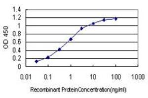 Detection limit for recombinant GST tagged RSU1 is approximately 0. (RSU1 antibody  (AA 1-277))
