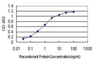Detection limit for recombinant GST tagged RSU1 is approximately 0. (RSU1 antibody  (AA 1-277))