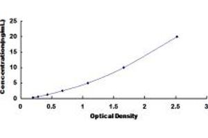 ABCC11 ELISA Kit