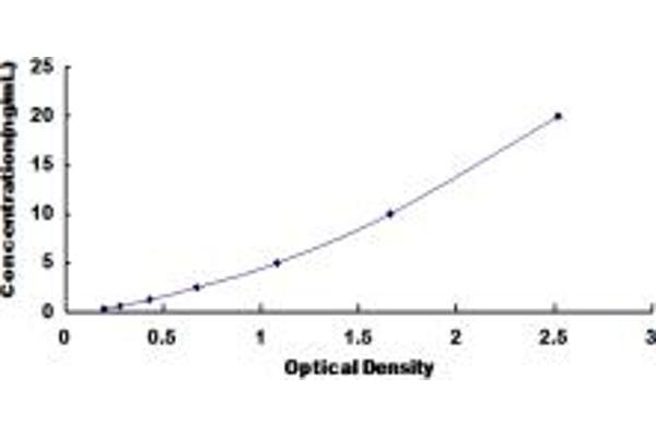 ABCC11 ELISA Kit