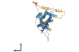 Protein Structure (PS) image for Dopamine Receptor D2 (DRD2) (AA 1-443) protein (His tag) (ABIN7547210)