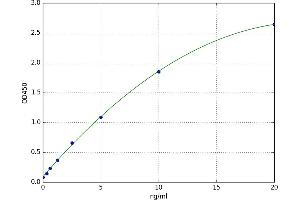 A typical standard curve