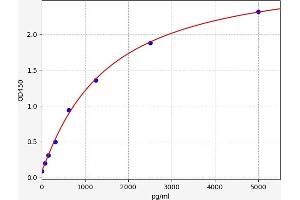 CYP3A4 ELISA Kit
