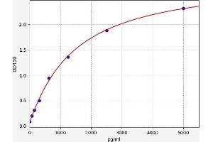 Typical standard curve (CYP3A4 ELISA Kit)