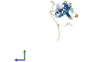 AlphaFold protein structure predicition of Human Recombinant PBX3 Protein, UniprotID P40426 (PBX3 Protein (AA 1-434) (His tag))