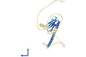 AlphaFold protein structure predicition of Human Recombinant HNRNPCL1 Protein, UniprotID O60812 (HNRNPCL1 Protein (AA 1-293) (His tag))
