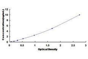 ELISA image for Casein Kinase 1, delta (CSNK1D) ELISA Kit (ABIN3166790) (Casein Kinase 1 delta ELISA Kit)