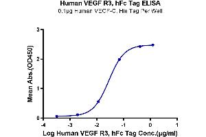 Immobilized Human VEGF-C, His Tag at 1 μg/mL (100 μL/well) on the plate. (FLT4 Protein (AA 25-776) (Fc Tag))