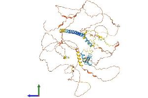 AlphaFold protein structure predicition of Human Recombinant FAM149A Protein, UniprotID A5PLN7 (FAM149A Protein (AA 1-773) (His tag))