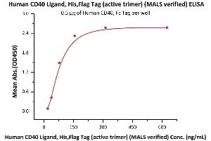 Immobilized Human CD40, Fc Tag (ABIN2180794,ABIN2859199) at 5 μg/mL (100 μL/well) can bind Human CD40 Ligand, His,Flag Tag (active trimer) (MALS verified) (ABIN6950957,ABIN6952262) with a linear range of 20-156 ng/mL (QC tested).