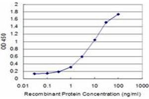 Detection limit for recombinant GST tagged COPB is approximately 0. (COPB1 antibody  (AA 854-953))
