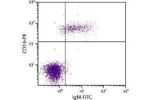 Human peripheral blood lymphocytes were stained with Goat Anti-Human IgM-FITC and Mouse Anti-Human CD19-PE. (Goat anti-Human IgM (Heavy Chain) Antibody (FITC))