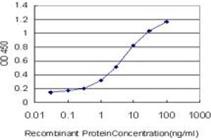 Detection limit for recombinant GST tagged TRIM32 is approximately 0. (TRIM32 antibody  (AA 105-204))