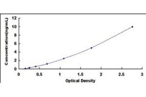 PDIA2 ELISA Kit