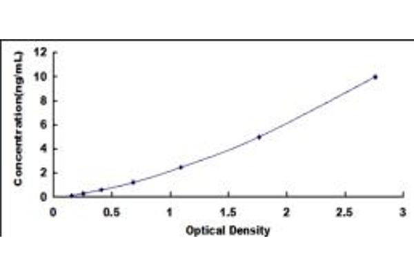 PDIA2 ELISA Kit