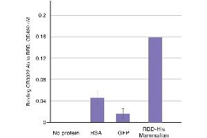 Binding of CR3022 to RBD by ELISA. (SARS-CoV-2 antibody)