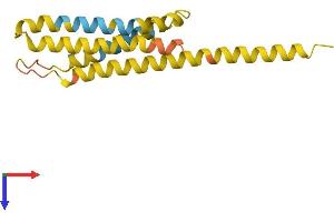 AlphaFold protein structure predicition of Human Recombinant XKRY Protein, UniprotID O14609 (XKRY Protein (AA 1-159) (His tag))