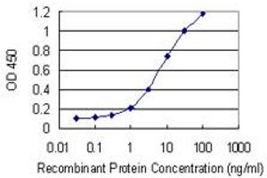 Detection limit for recombinant GST tagged SLC18A1 is 0. (SLC18A1 antibody  (AA 1-493))